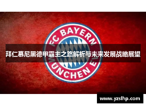 拜仁慕尼黑德甲霸主之路解析与未来发展战略展望