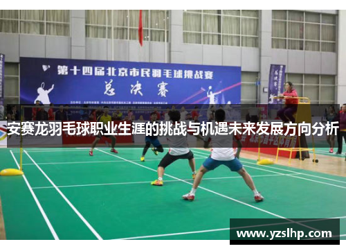 安赛龙羽毛球职业生涯的挑战与机遇未来发展方向分析