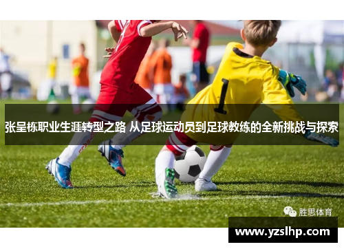 张呈栋职业生涯转型之路 从足球运动员到足球教练的全新挑战与探索