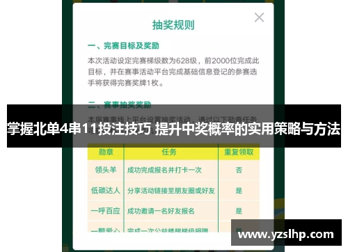 掌握北单4串11投注技巧 提升中奖概率的实用策略与方法