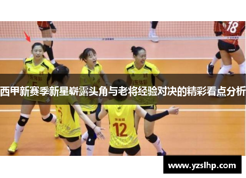 西甲新赛季新星崭露头角与老将经验对决的精彩看点分析