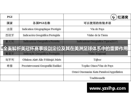 全面解析美冠杯赛事级别定位及其在美洲足球体系中的重要作用