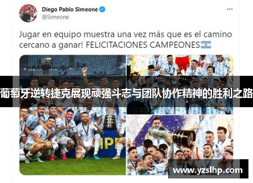 葡萄牙逆转捷克展现顽强斗志与团队协作精神的胜利之路